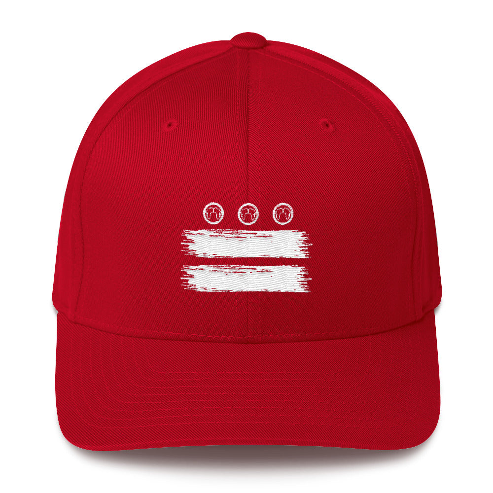 DC Flag Fitted Cap
