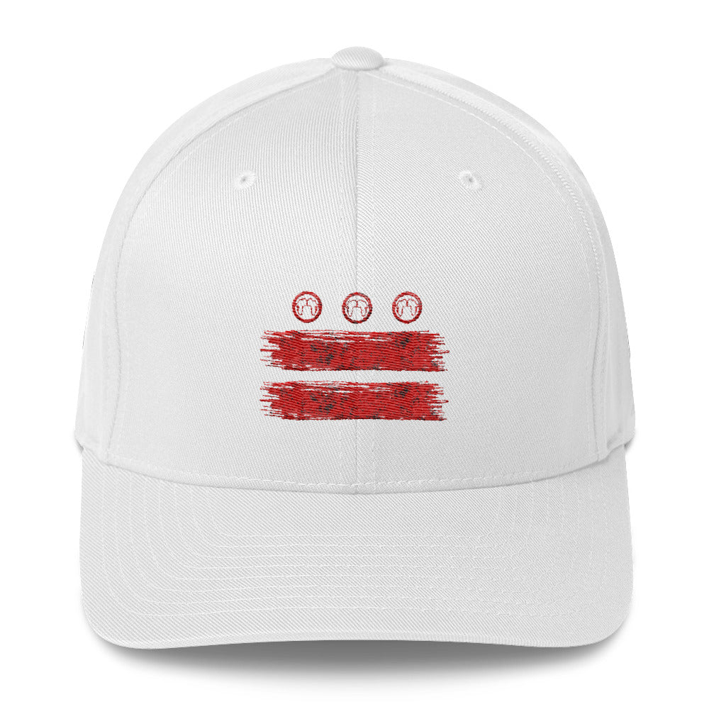 DC Flag Fitted Cap