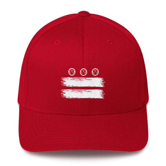 DC Flag Fitted Cap